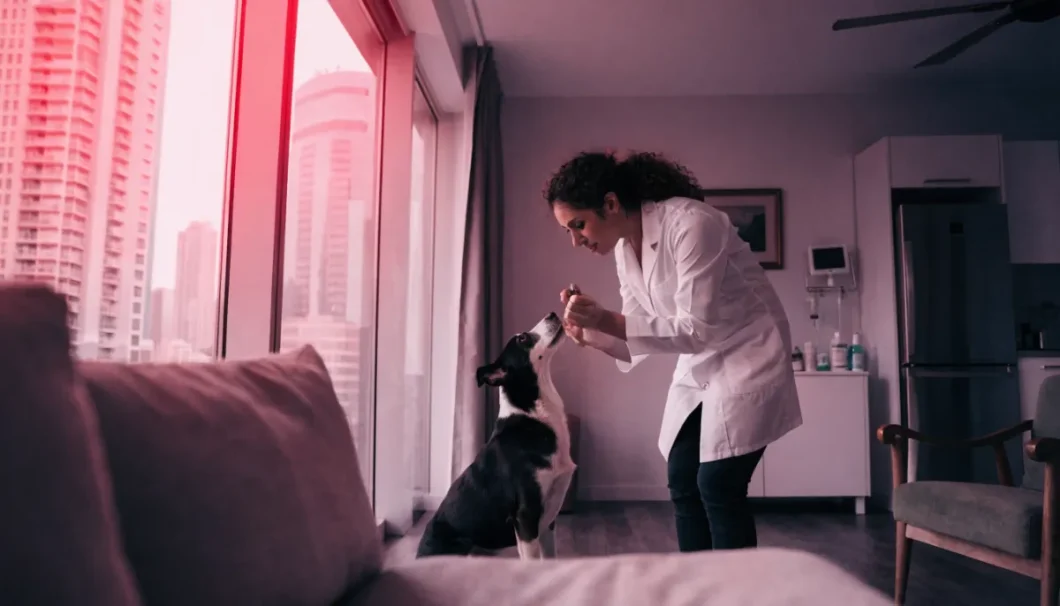 mobile pet vaccination dubai
