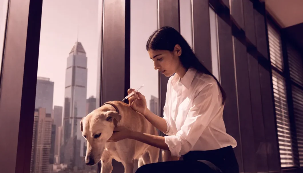 pet vaccination dubai