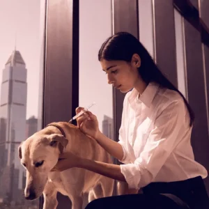 pet vaccination dubai